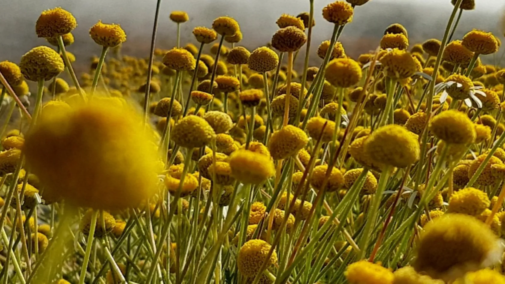 Doğa yürüyüşçüsü gözüyle Kayseri