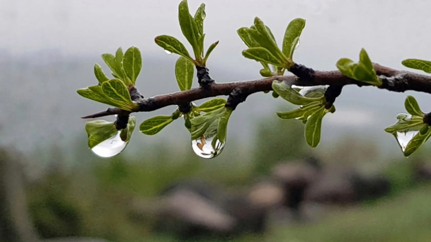 Doğa yürüyüşçüsü gözüyle Kayseri