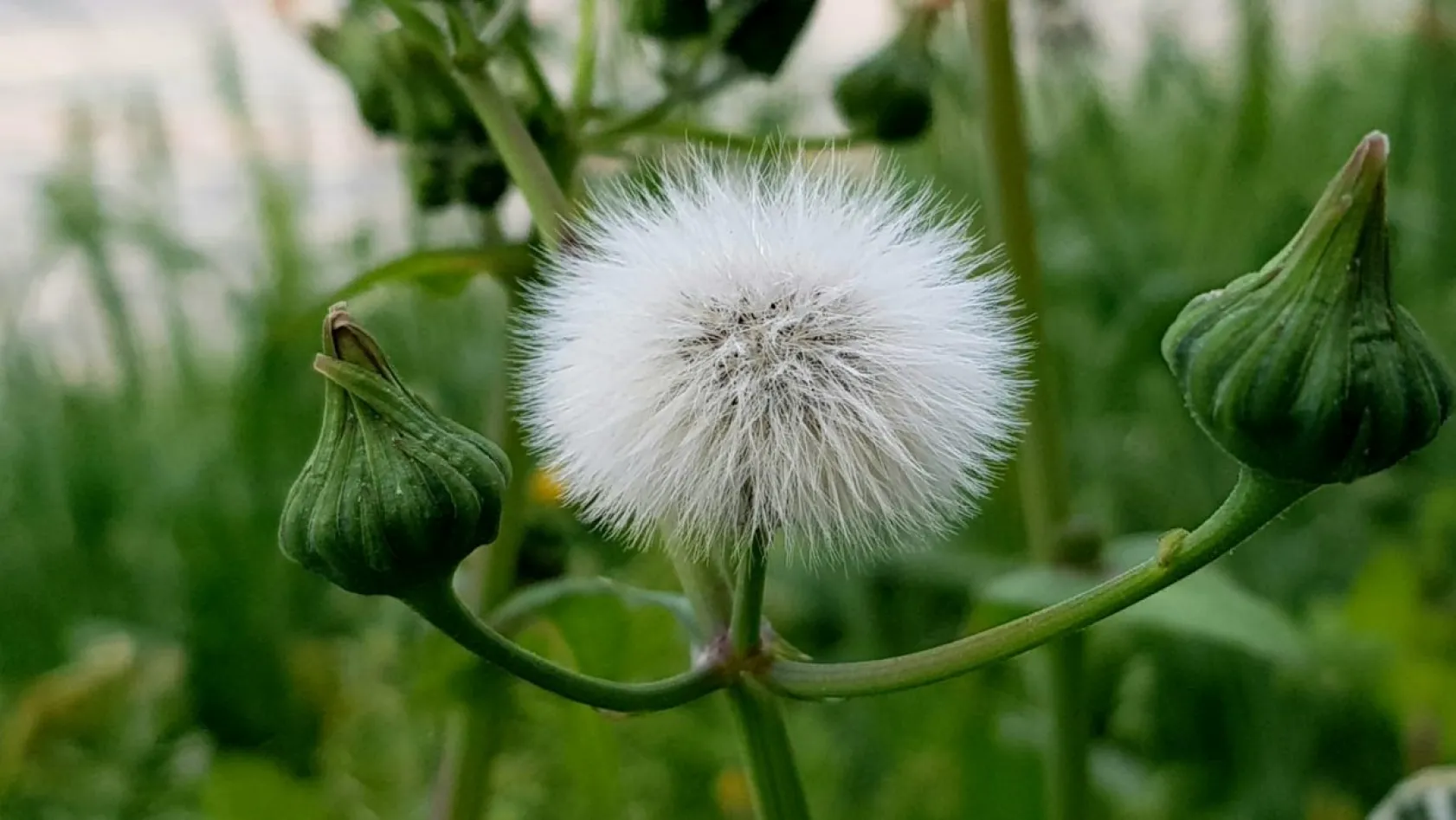 Doğa yürüyüşçüsü gözüyle Kayseri