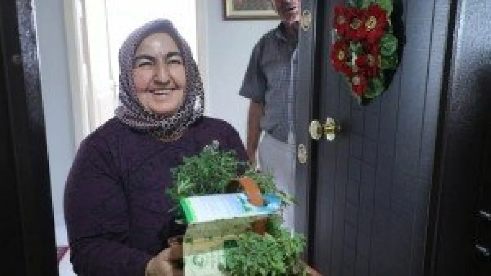 Talas'tan 65 yaş üstüne aromatik bitkiler sepeti