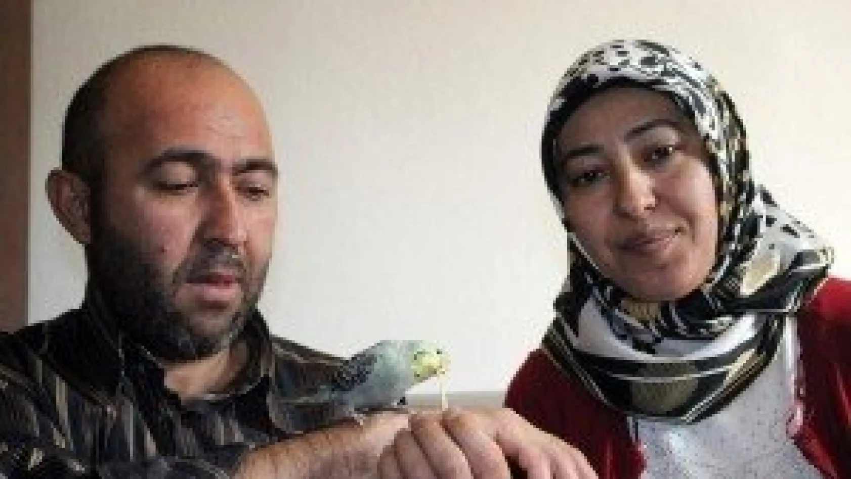 Yok böyle muhabbet