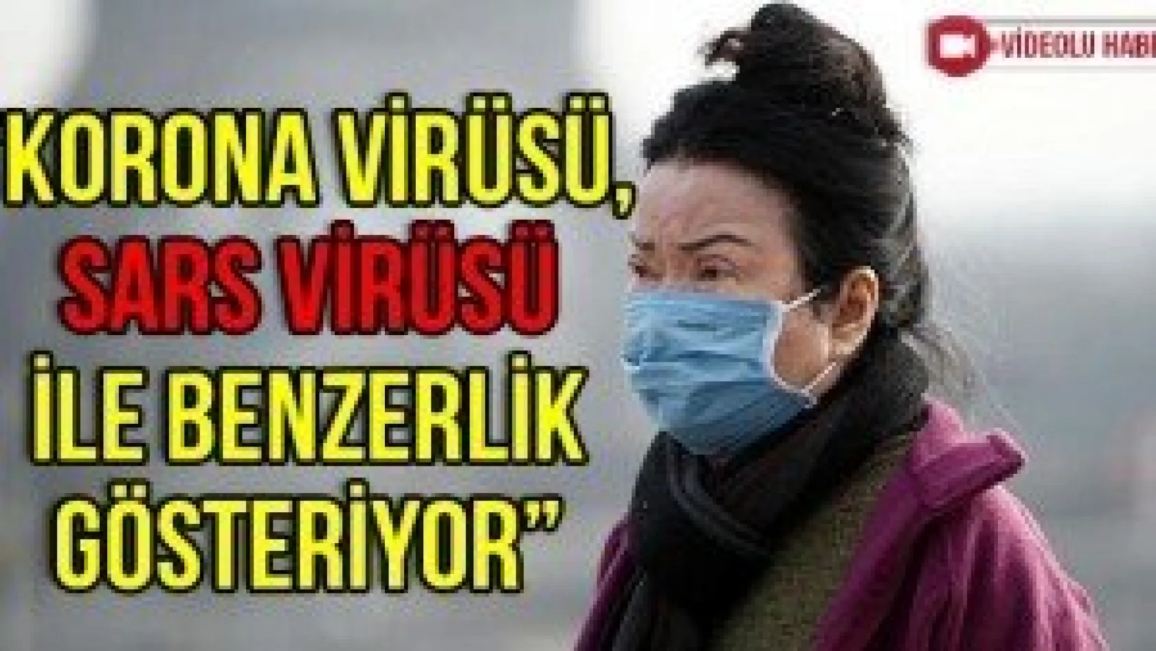 'Korona virüsü, SARS virüsü ile benzerlik gösteriyor'
