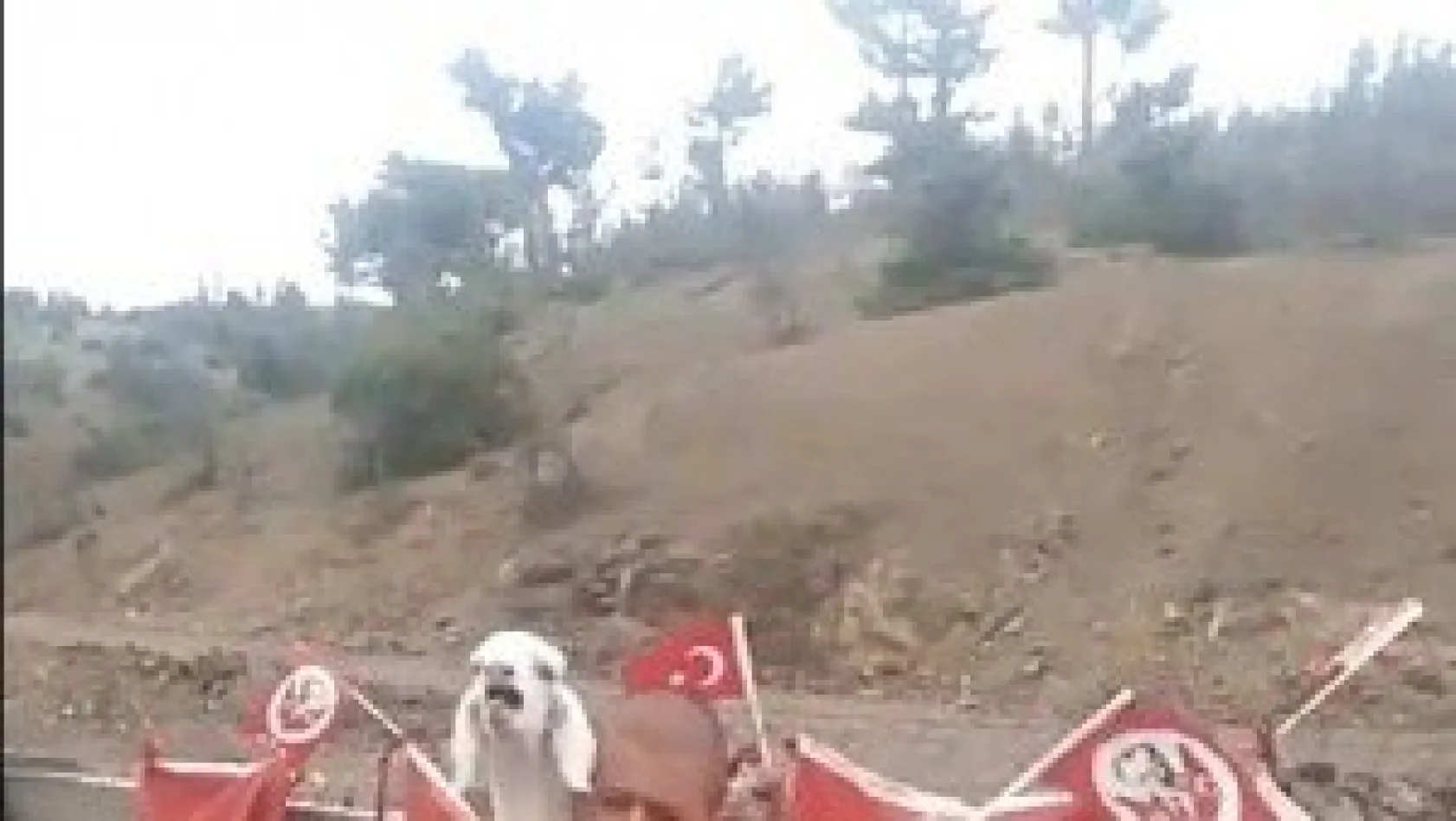 TOROSLARIN ZİRVESİNDE YAŞADIĞI COŞKUYLA FENOMEN OLDU
