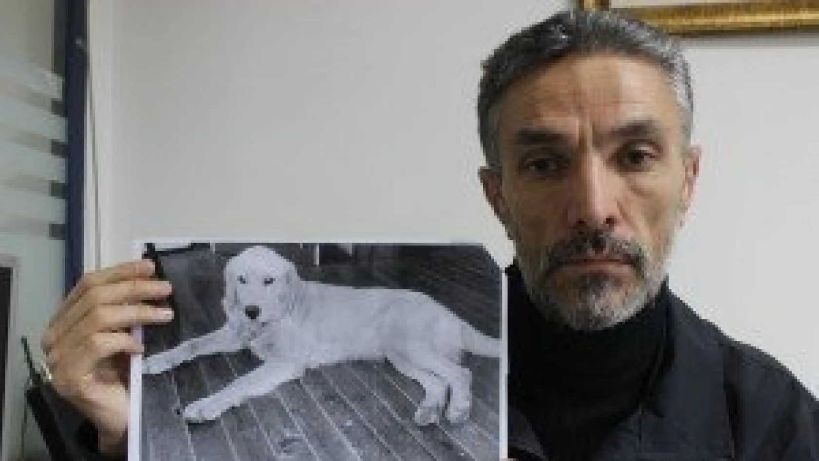 İzini Sürdüğü Köpeğini Bakın Nerede Buldu