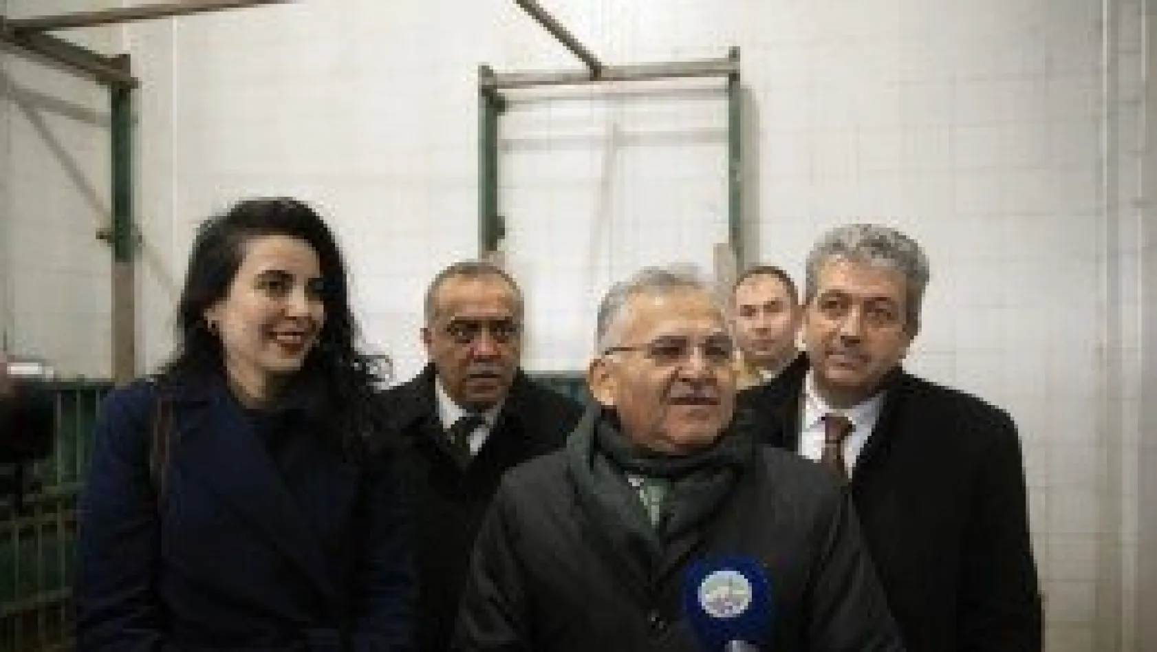 Yavru aslanların ismini vatandaşlar belirleyecek