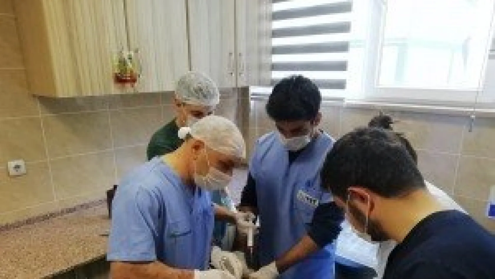 Kurt saldırısında ağır yaralandı, tedavi altına alındı