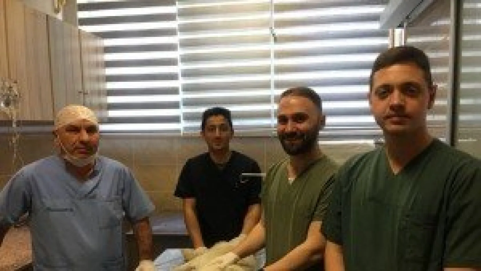 Hayvan trafik kazaları için caydırıcı cezalar şart