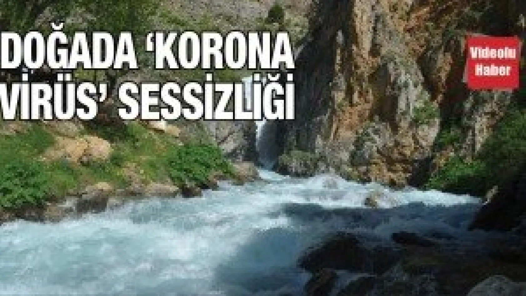 Doğada 'Korona virüs' sessizliği
