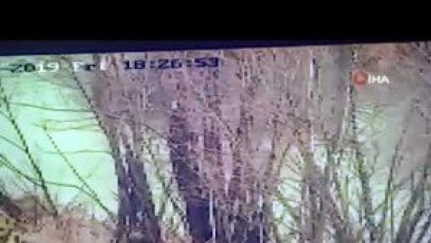 Avcı Domuzdan, Domuz Avcıdan Kaçtı