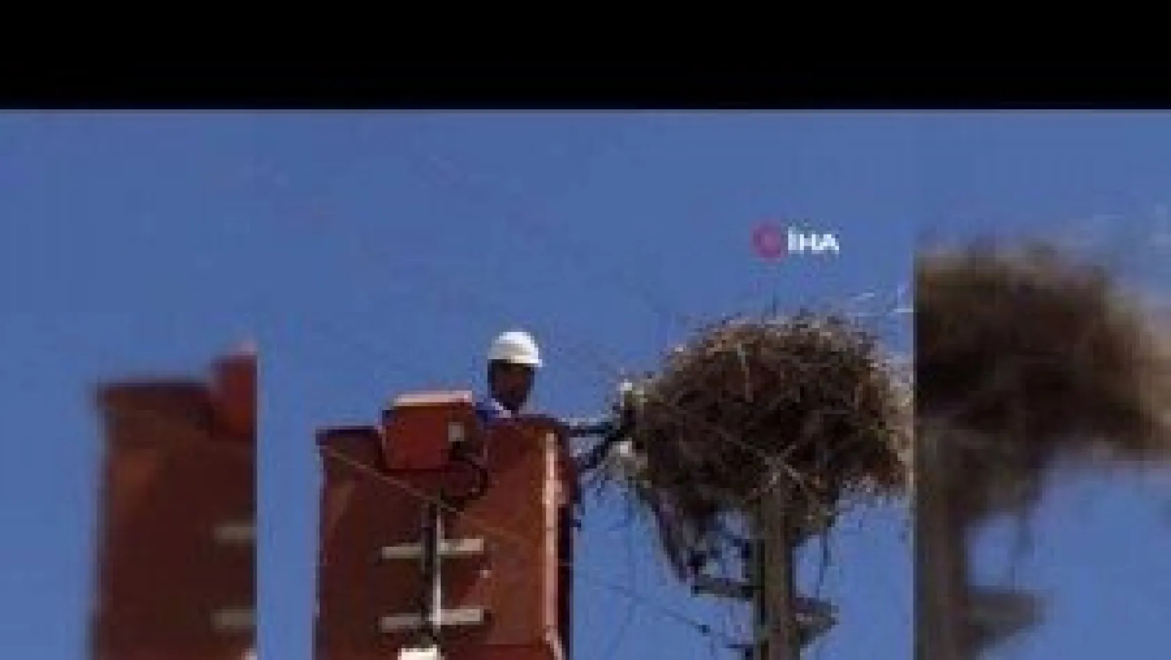 Elektrik direğinde asılı kalan leylek yavrusu kurtarıldı