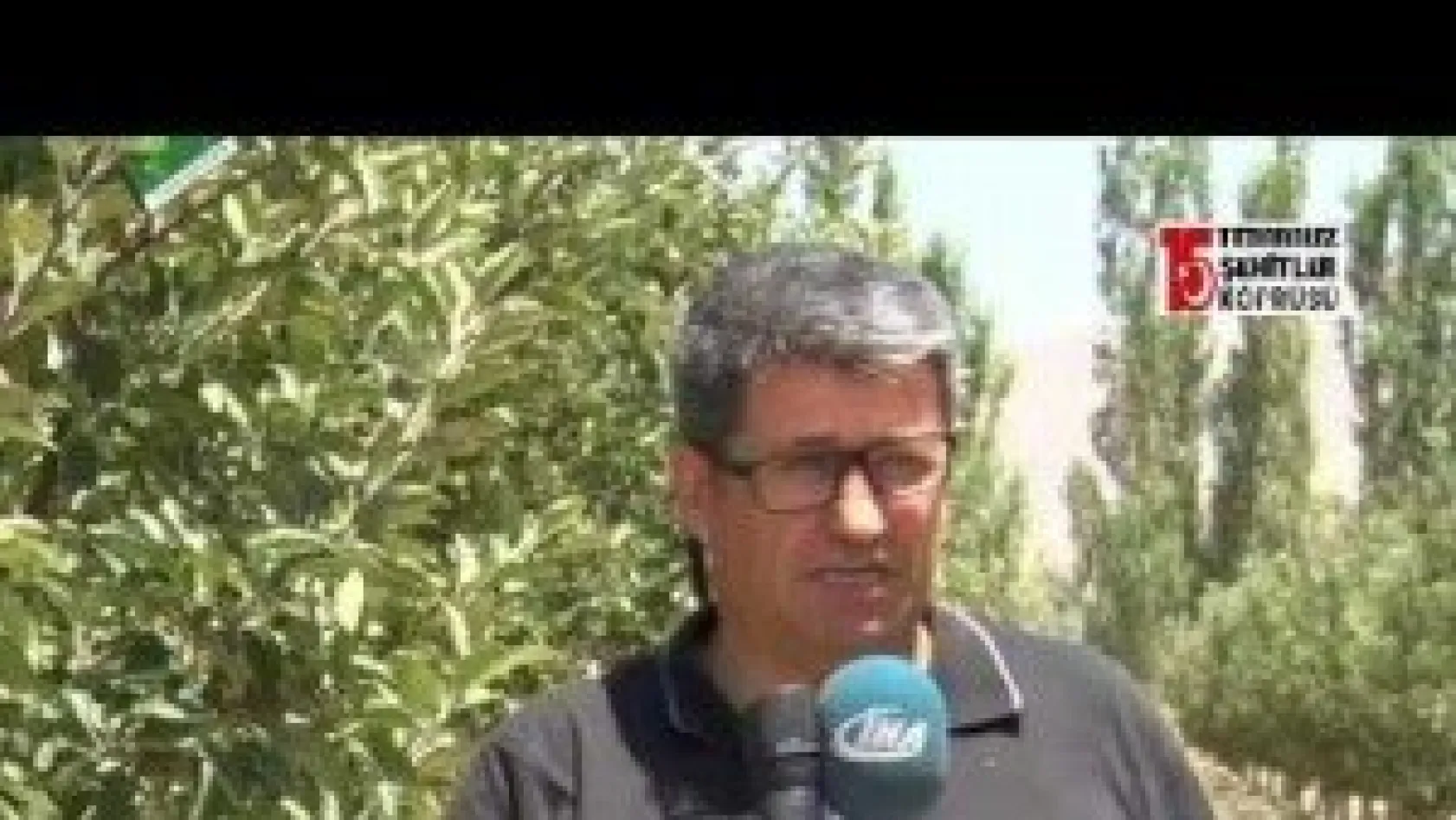 Faydalı Böcekler Kayseri'de İş Başında