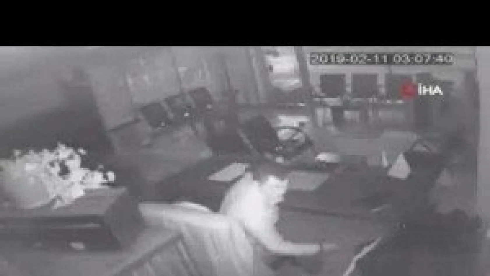 Hırsızların Rahatlığı Şaşırttı