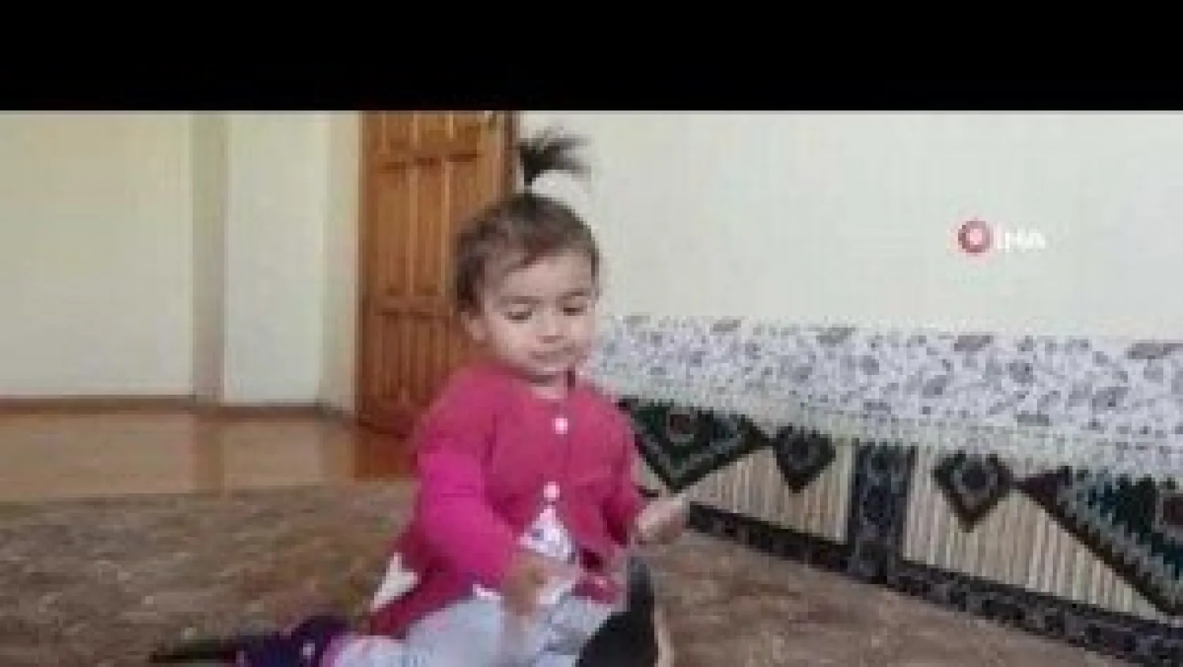Kayserili çiftçi, nesli tükenmekte olan Balaban kuşu buldu