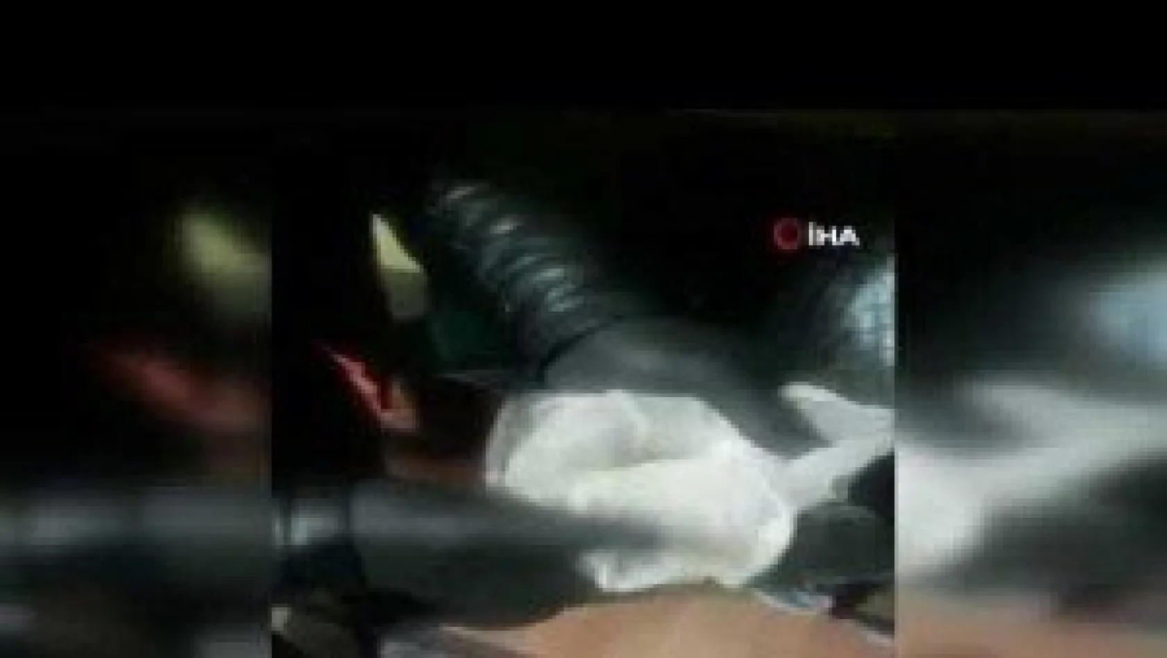 Koçbaşı ile kapısı açılan eve uyuşturucu operasyonu