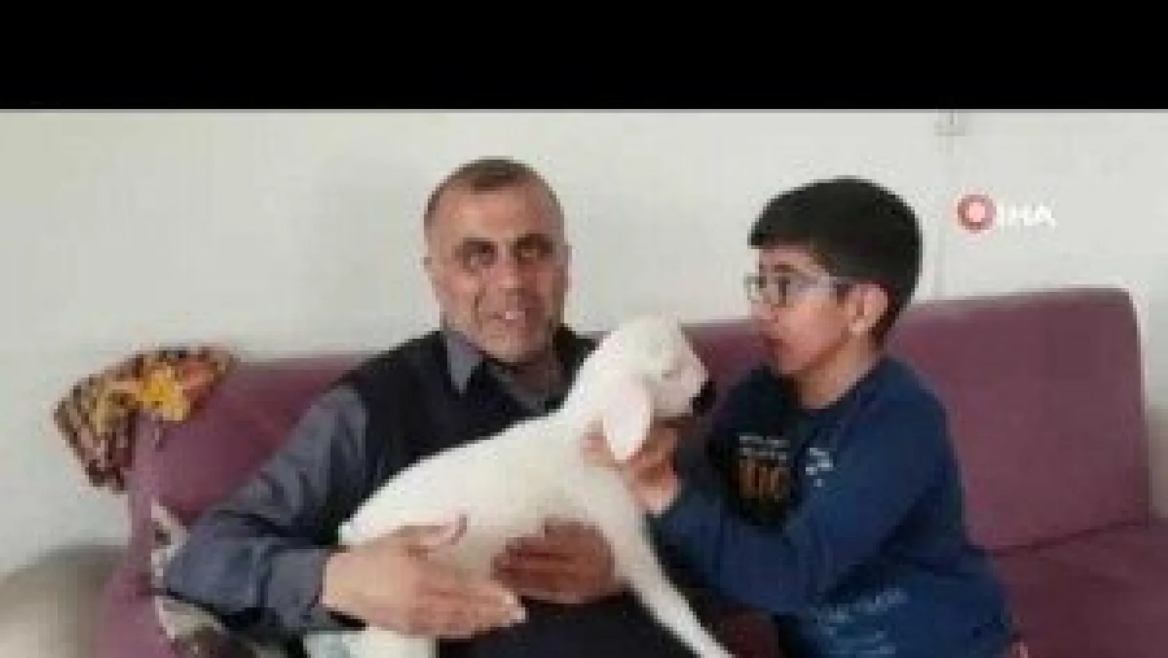 Kuzuyla alışverişe gidiyor, çocuk bezi bağlıyor