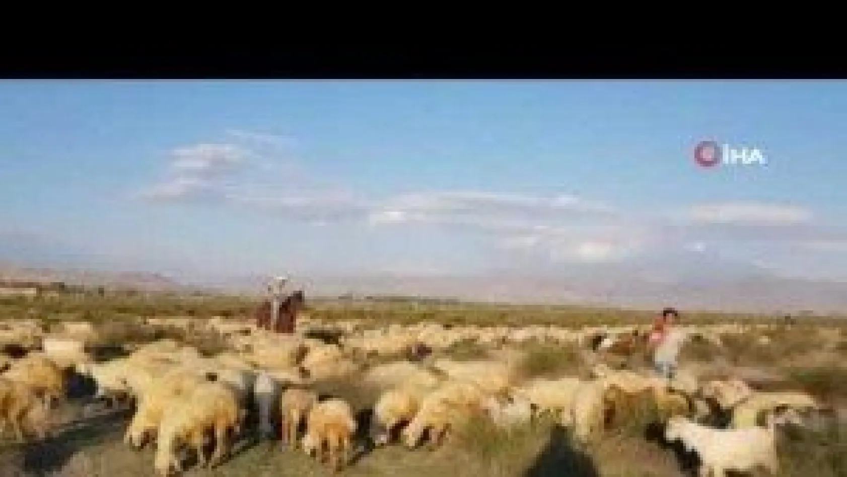 Orta Asya'nın bozkırları değil, Erciyes Dağı'nın etekleri