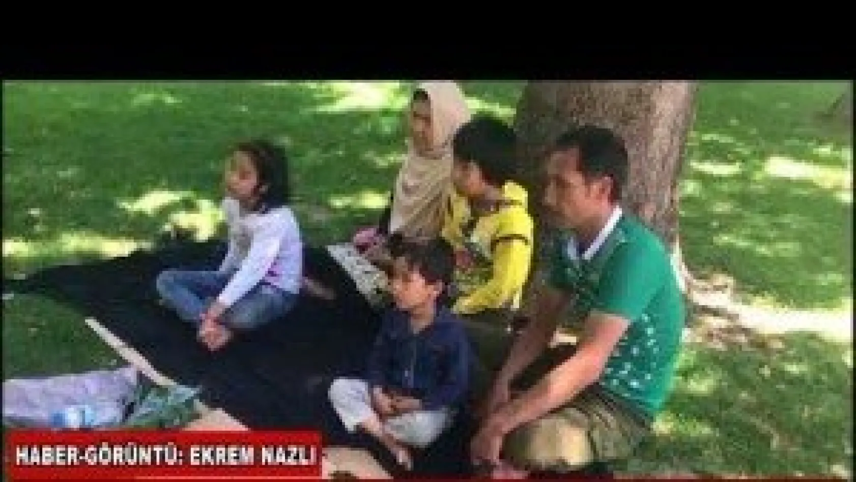 Parkta kalan Afgan aileler yardım bekliyor