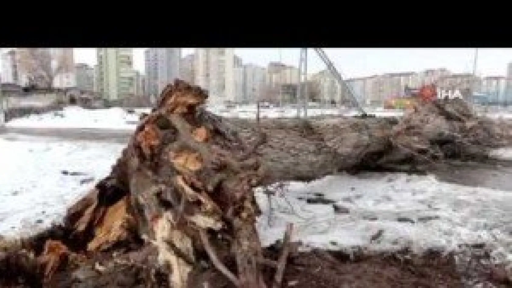 Rüzgarın Devirdiği Ağacın Altında Kalan Şahıs Hayatını Kaybetti