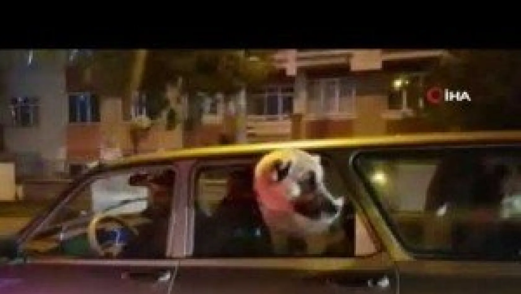 Trafikte dikkat çeken görüntü