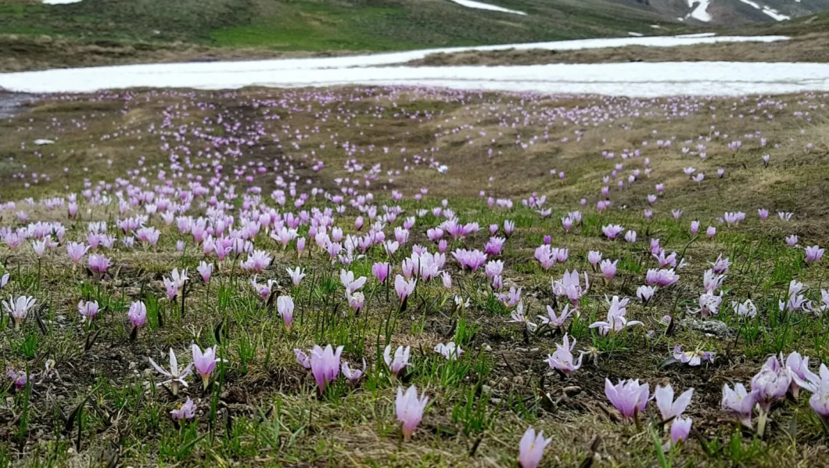 'Erciyes, her halinle güzelsin'