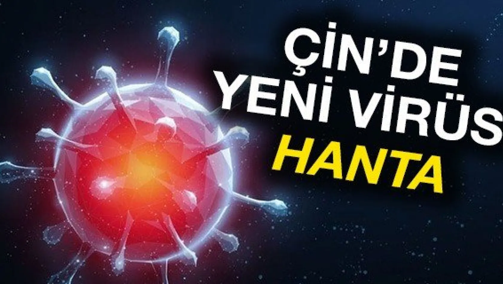 Çin'de yeni virüs: Hanta