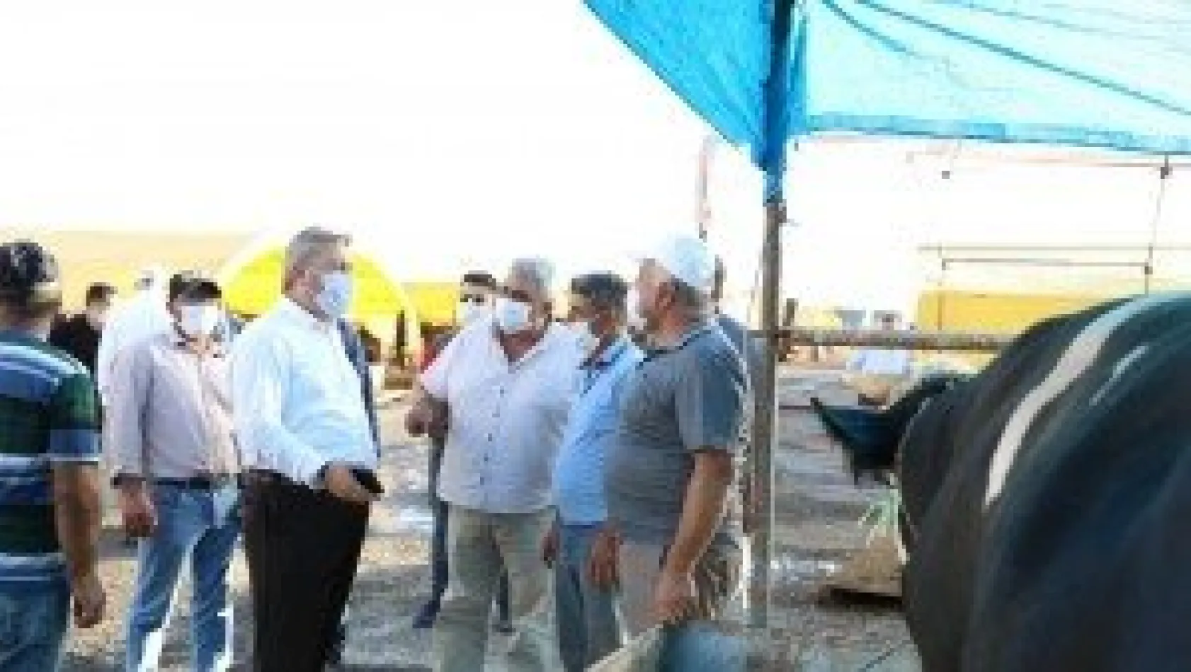 Palancıoğlu, Serkent kurban pazarı denetiminde