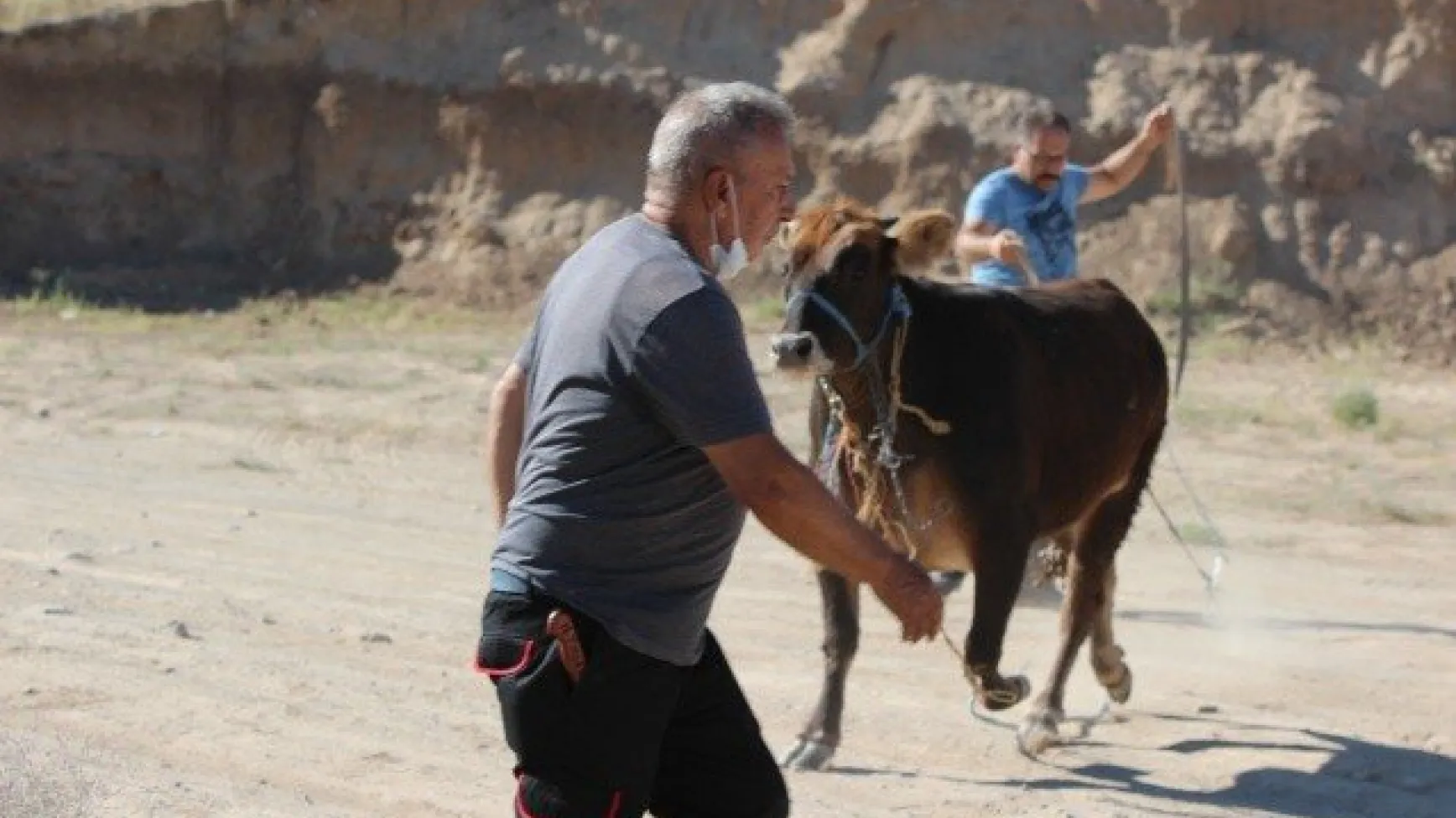 "Gel kurban olduğum"