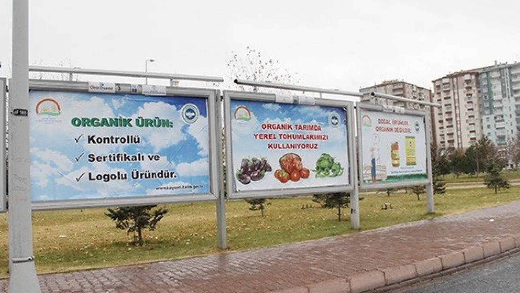 Organik tarım için tanıtıcı reklam