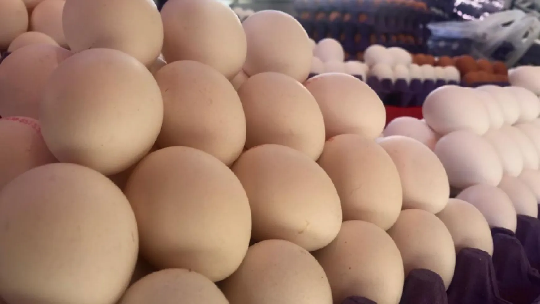 Yumurta satışlarında pazar ve markette fiyat farkı var