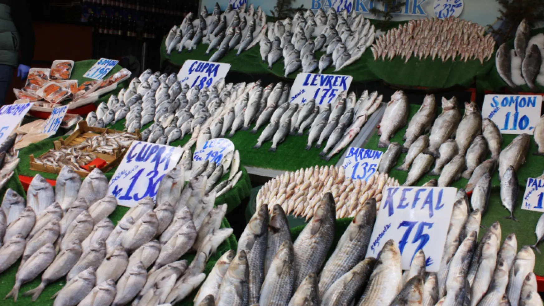 Balıkçı Çetin Çolak: 'Balıkta bolluk var, vatandaşın cebinde para yok'