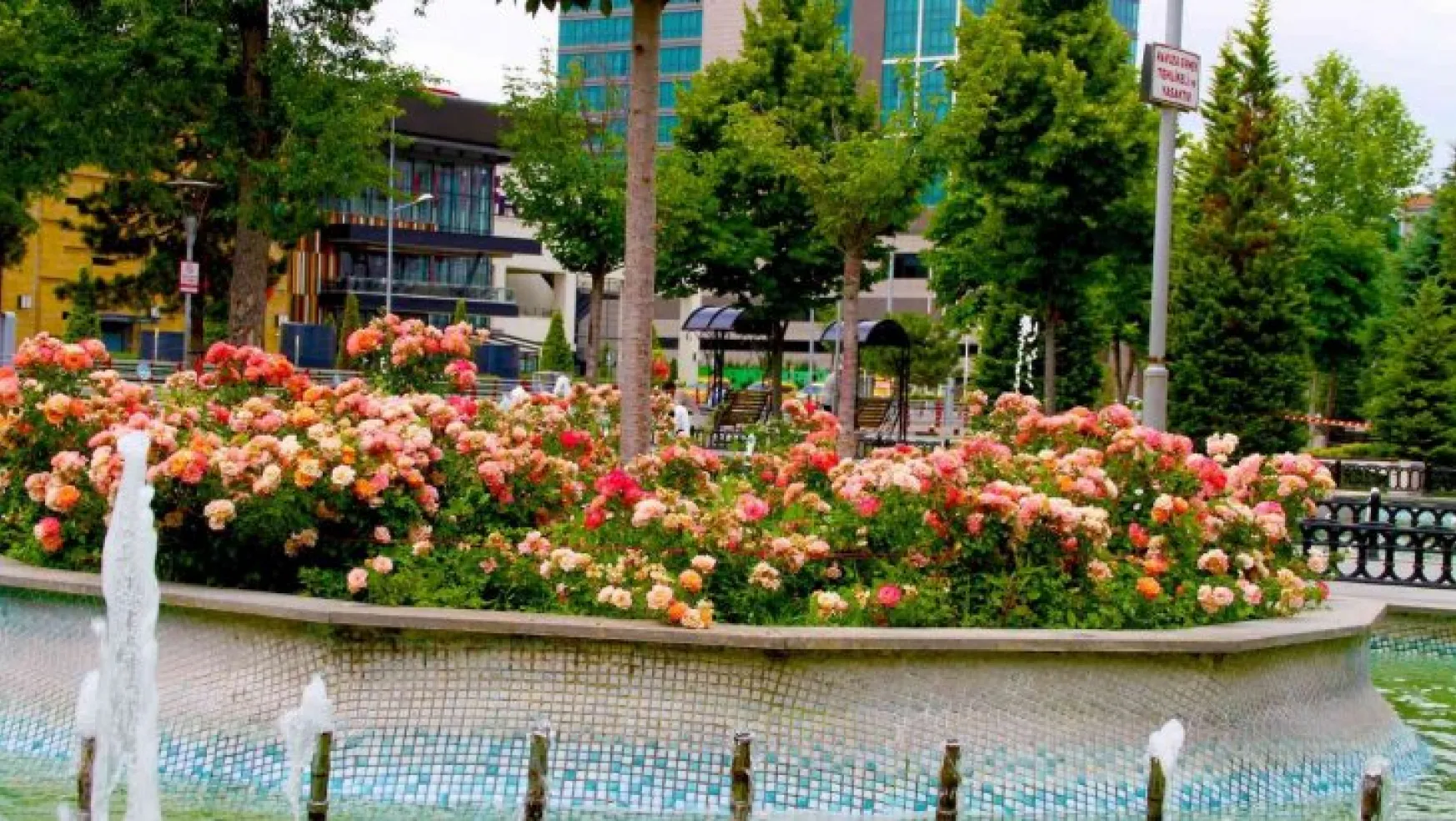 Büyükşehir belediyesinden 'En güzel bahçe' Yarışması