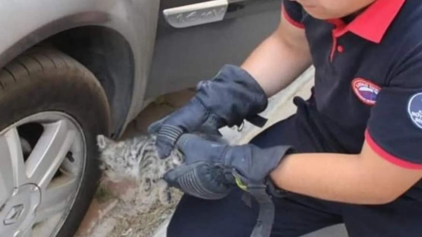 İtfaiye ekipleri araç motoruna giren kediyi kurtardı