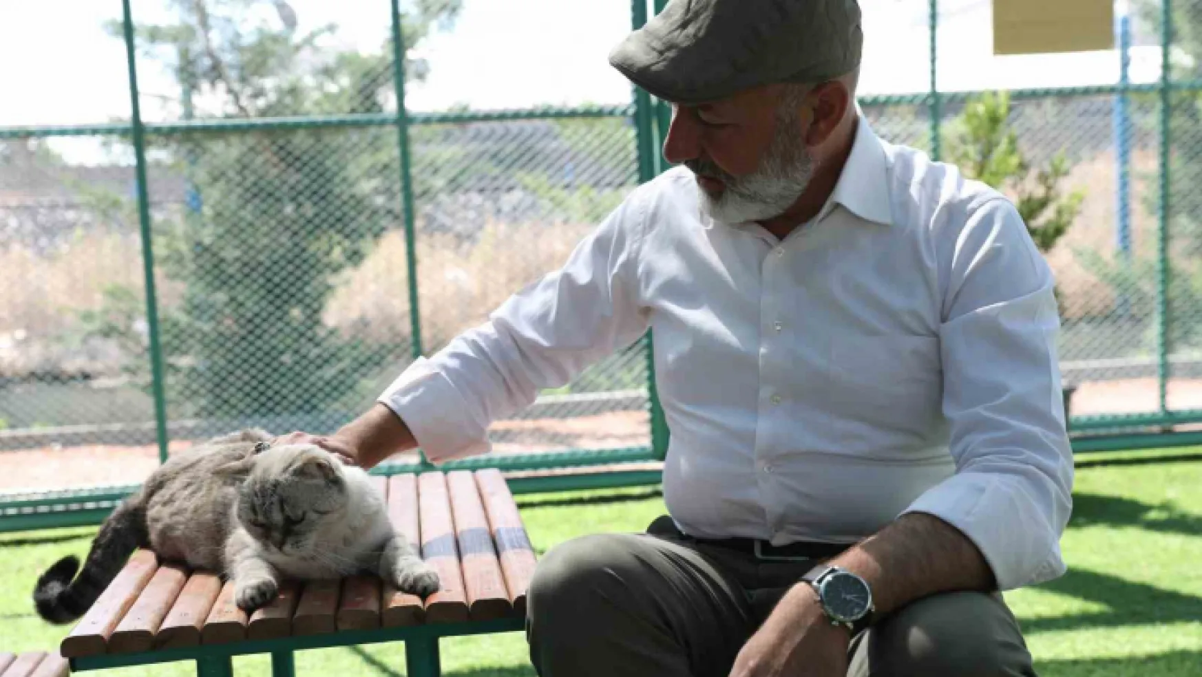 Kayseri'de ilk olan 'Küçük Dostlar Kedi Kasabası'na yoğun ilgi