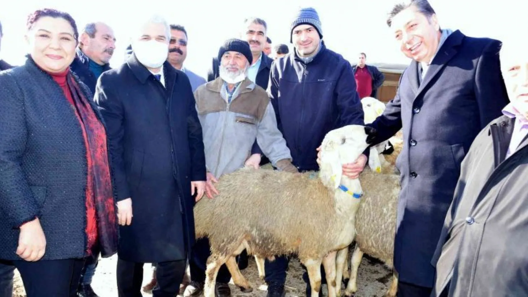 Kırşehir'de çiftçilere hayvan desteği