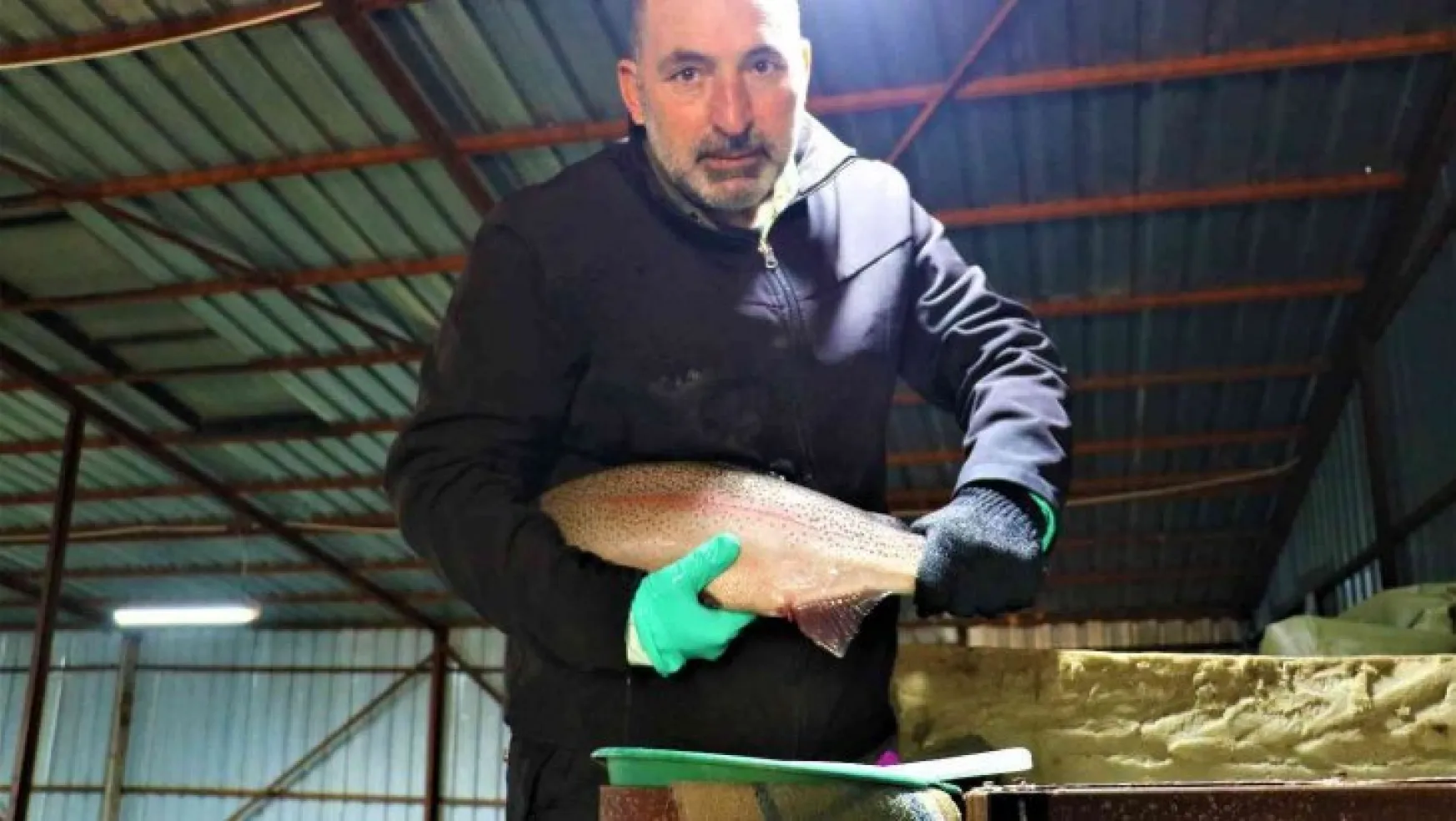 Sivas'tan Avrupa'ya balık ihraç ediliyordu, üretim azaldı