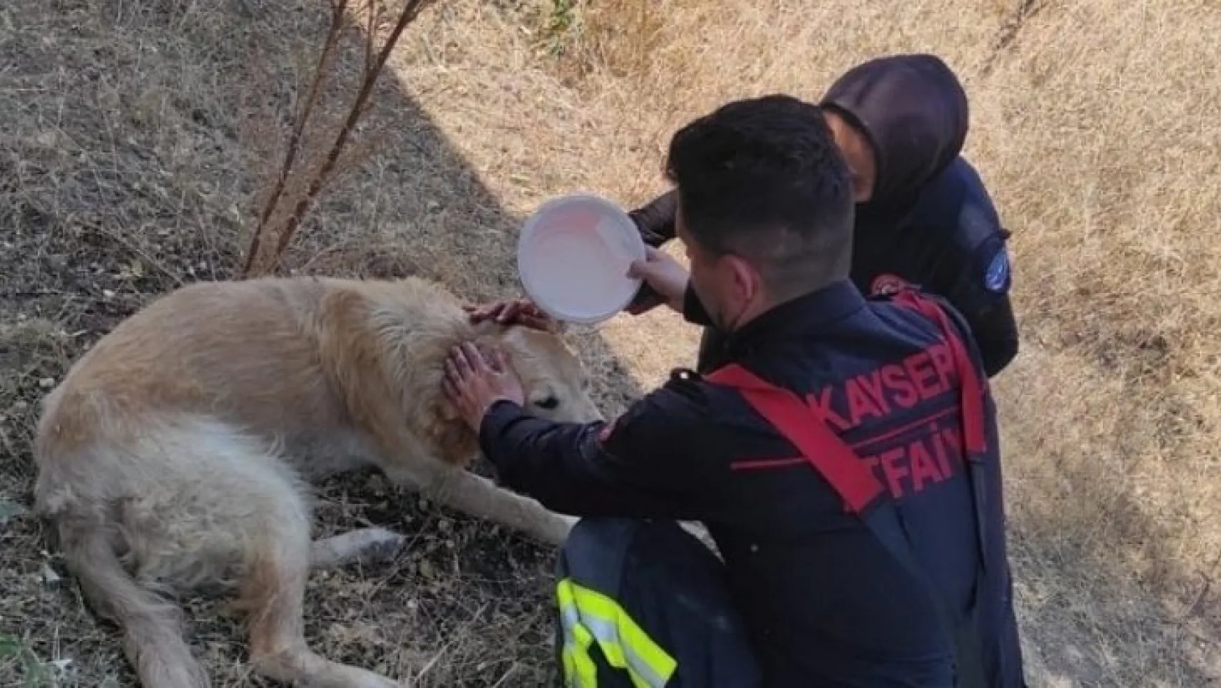 Yanmak üzere olan köpek itfaiye ekiplerince kurtarıldı