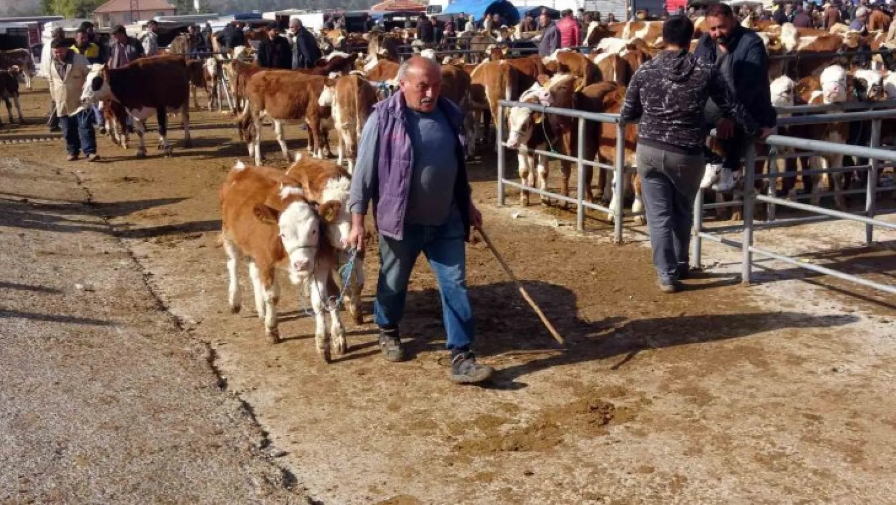 Yasakların ardından Yozgat'ta canlı hayvan pazarlarında yoğunluk sürüyor
