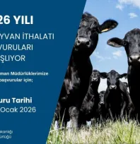 2026 besilik hayvan ithalatı başvuruları başlıyor