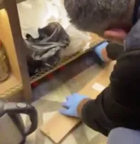 81 ilde alkollü içki kaçakçılığı ve sahteciliğine yönelik operasyon: 179 gözaltı