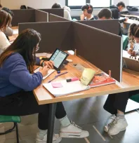 Akıl Küplerinde Sömestr Yoğunluğu