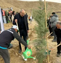 Ali Dağının Zirvesine 1111 Fidan