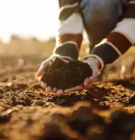 Bakan Yumaklı, 'Gençleri tarımsal üretimin içerisinde tutmamız gerekiyor'