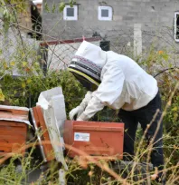 Başkan Büyükkılıç'a 'Kovan bizden Arı Sizden' projesi teşekkürü