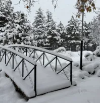 Başkan Özdoğan: 'Tüm ekiplerimizle sahadayız'