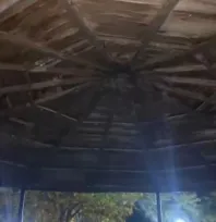 Belsin'de kamelyayı ateşe veren çocuklar yakalandı