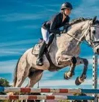 Binicilik meraklıları için kayıtlar başladı