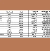 Bünyan Belediyesi 13 taşınmazı satışa çıkardı