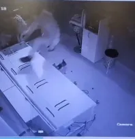 Forklift ile kuyumcu soyduktan sonra eşekle kaçan şahıs yakalandı