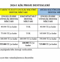 İŞKUR'da engelli ve eski hükümlüler için başvurular başladı: 16 Ocak'ta sona eriyor