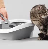 Kasımda zam şampiyonu evcil hayvan ürünleri oldu